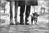  Elliott Erwitt - USA. New York City. 1974